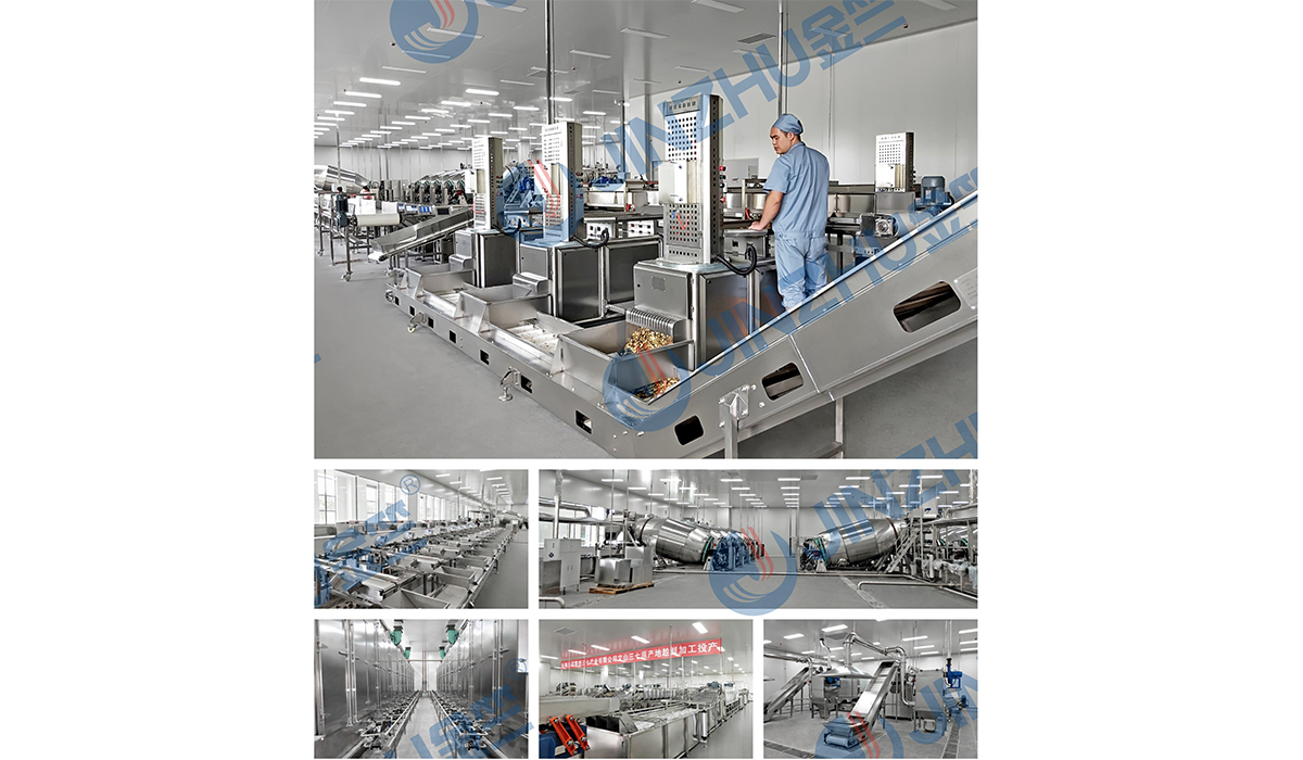 云南白藥文山三七初加工項(xiàng)目