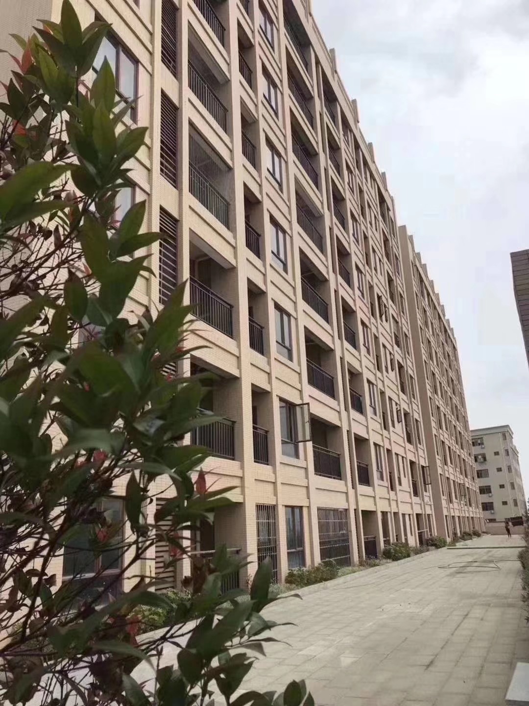 東莞沙田小產(chǎn)權(quán)房樓盤新城花園低價出售4580元/㎡