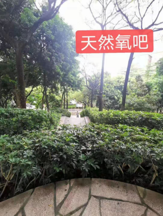 金光華府名校零距離，盡享綠色生態