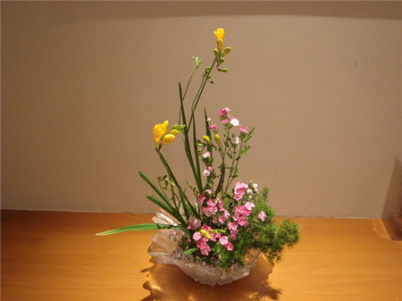 業(yè)主發(fā)現(xiàn)南區(qū)叫陽(yáng)光花園