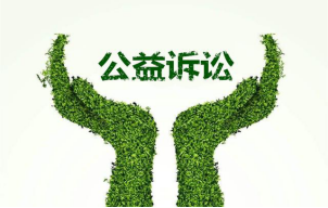 民訴法第五十五條是關于公益訴訟的規(guī)定