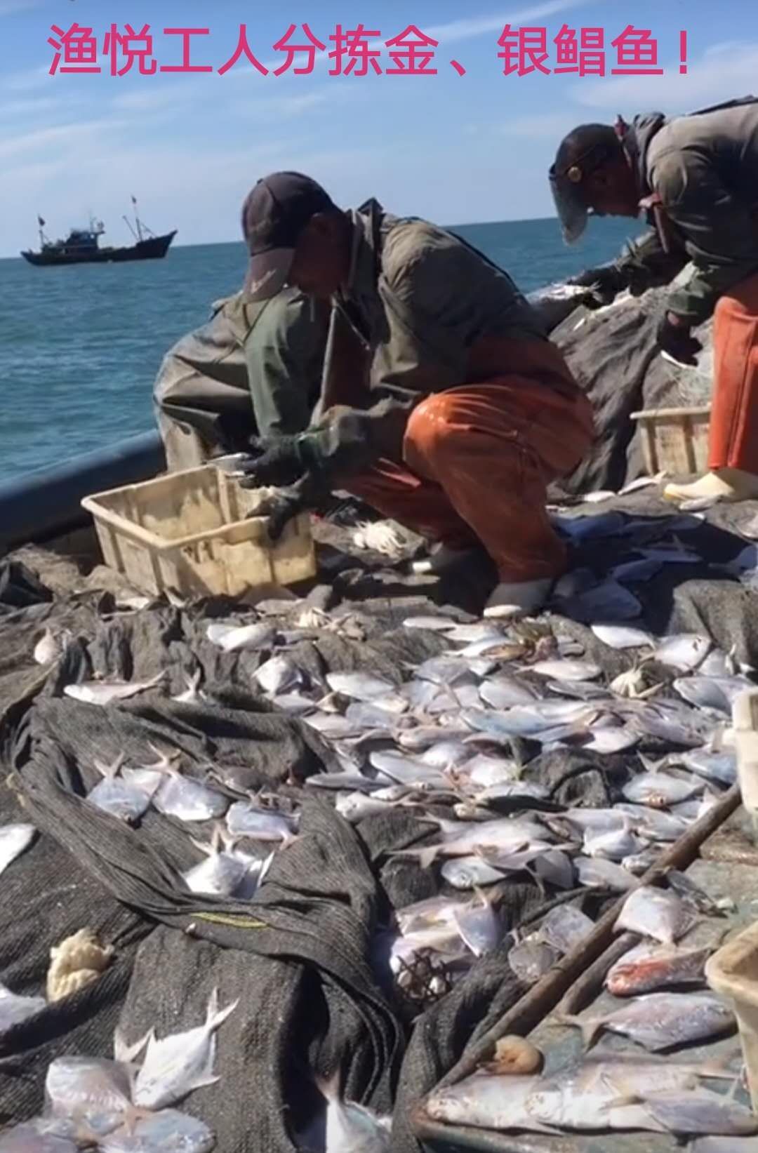 負責(zé)看守海山學(xué)校西邊的山林
